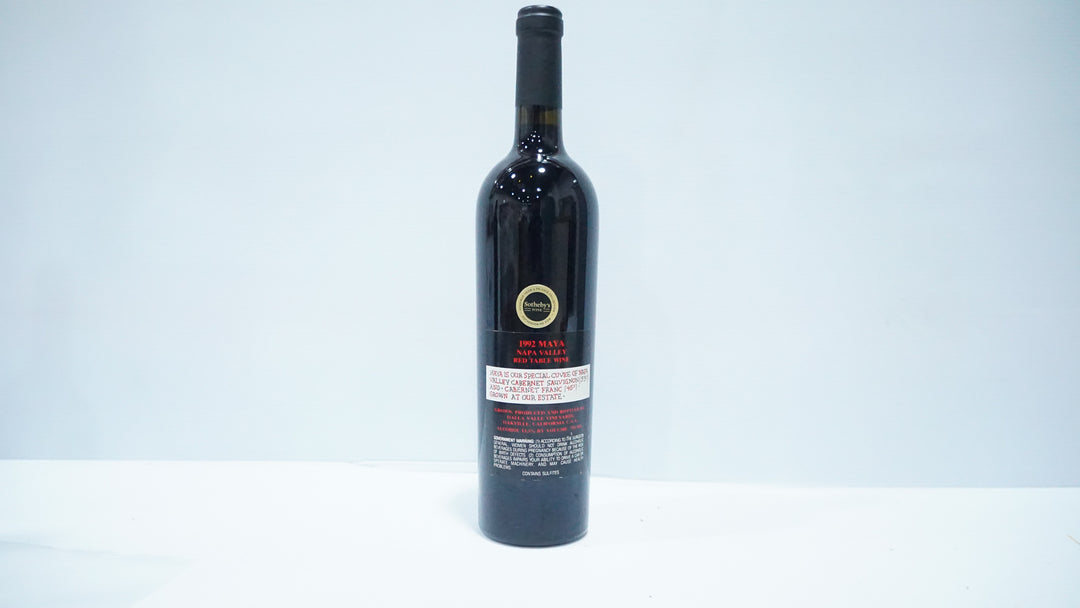 Dalla Valle Maya 1992