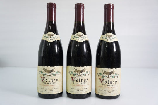 Coche Dury Volnay 1er Cru 2009