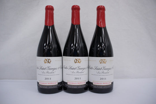Georges Noellat Nuits St Georges Aux Boudots 1er Cru Magnum 2011