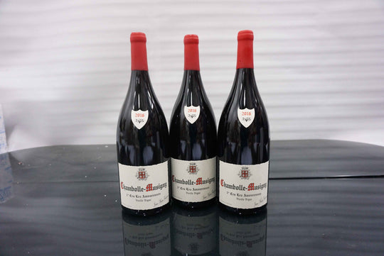 Domaine Fourrier Chambolle Musigny Les Amoureuses 1er Cru VV Magnum 2016
