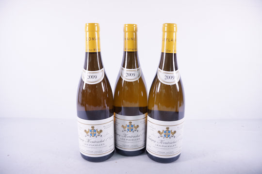 Leflaive Puligny Montrachet Les Pucelles 1er Cru 2009