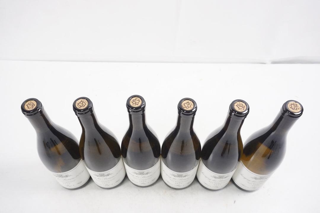 Simon Bize Savigny Les Beaune 1er Cru Aux Vergelesses Blanc 2022