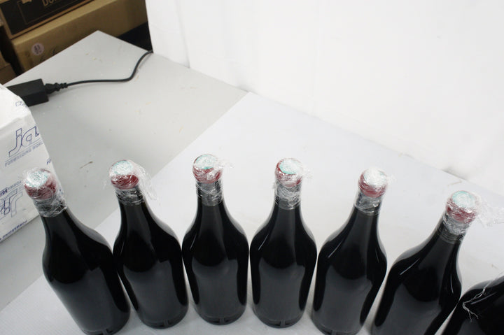 Cellier Saint Benoit Arbois Pupillin Courbes Raies Pinot Noir 2022