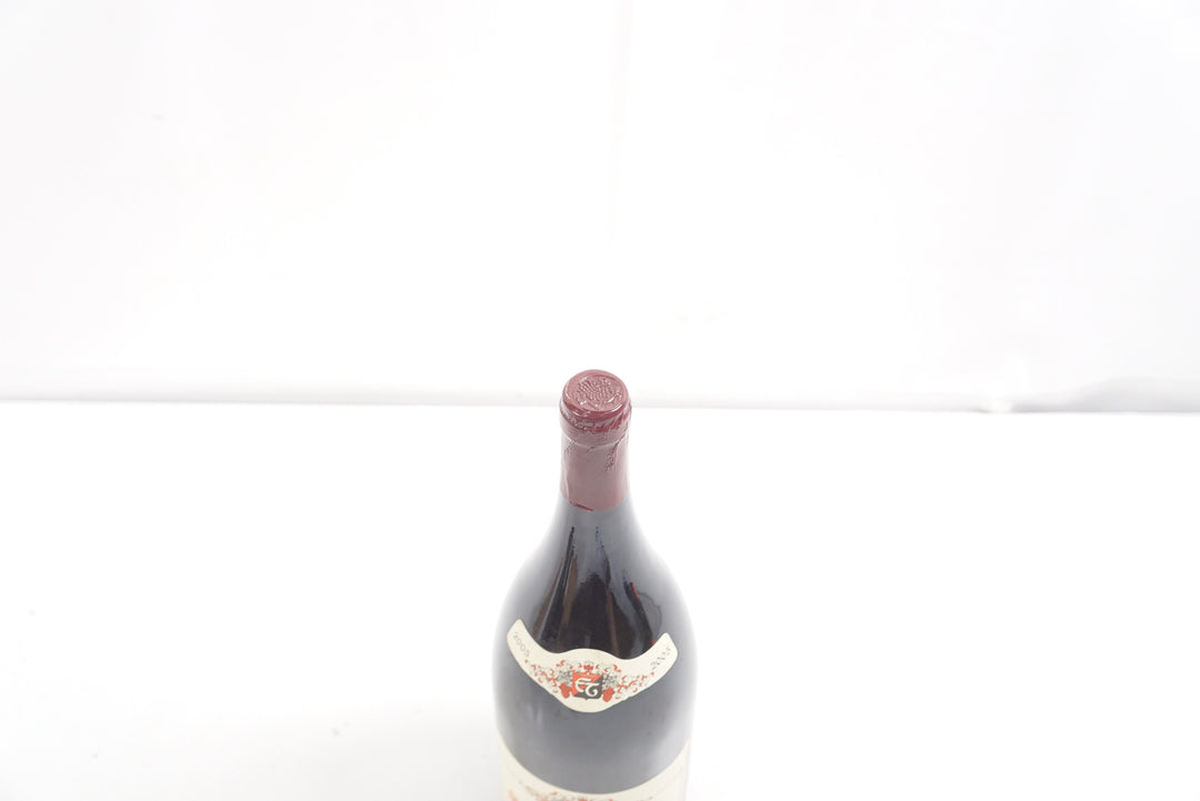 Raymond Trollat Saint Joseph Rouge Magnum 2005