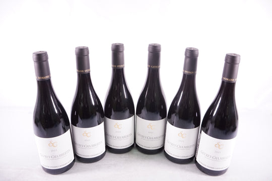 Sylvain Cathiard Gevrey Chambertin 2021