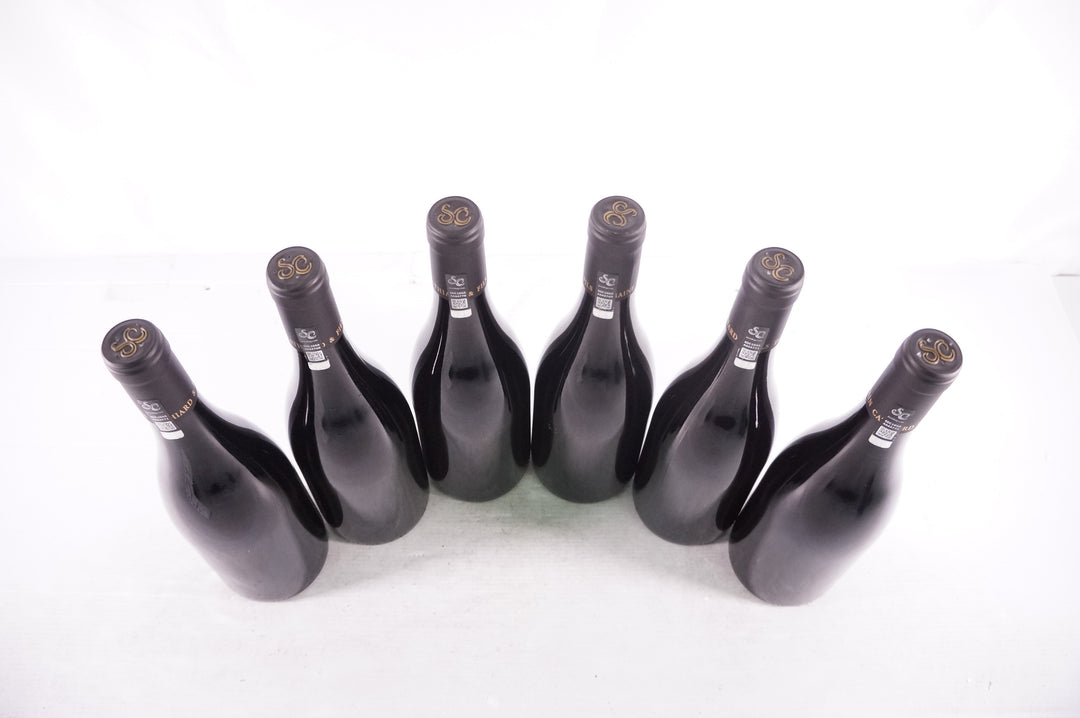 Sylvain Cathiard Gevrey Chambertin 2021