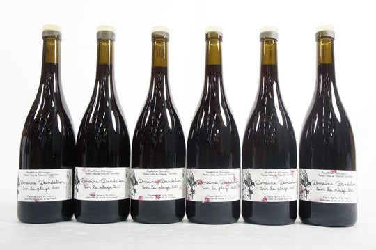 Domaine Dandelion Hautes Cotes de Beaune Sur la Plage Rouge 2023