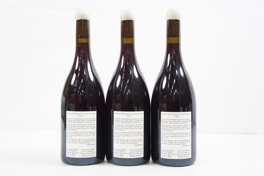 Koji et Jae Hwa Gevrey Chambertin Aux Corvees 2022