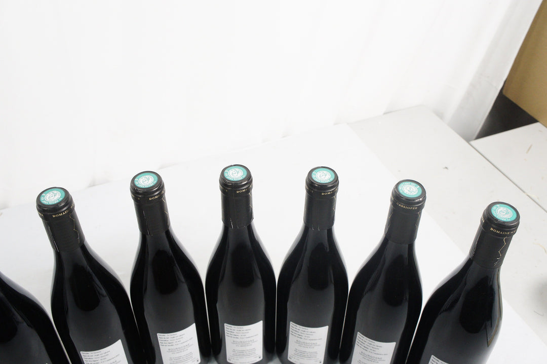 Domaine de Cassiopee Bourgogne Rouge En Gerlieus 2022