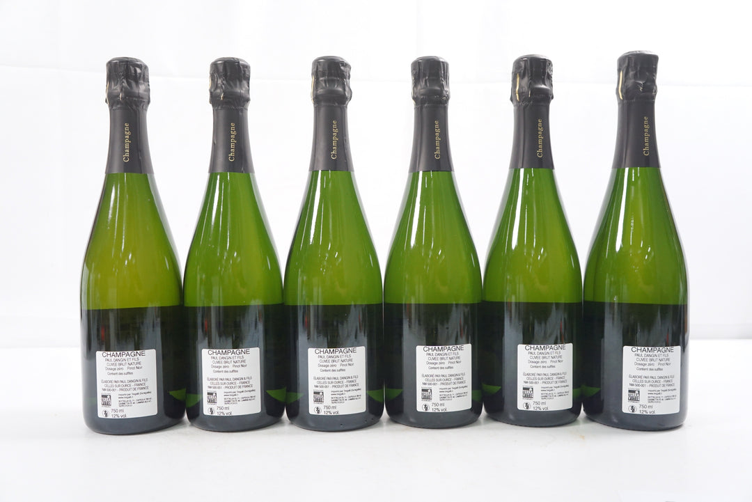 Paul Dangin Les Sels Mineraux Brut Nature NV