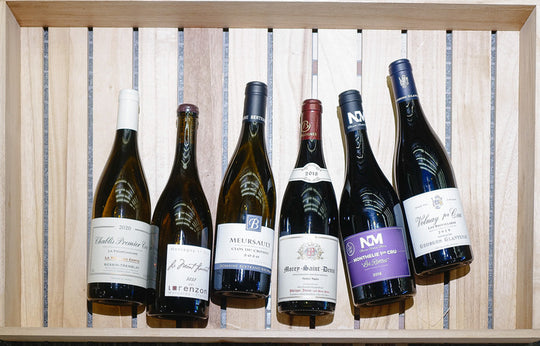 Burgundy Discovery Case (Premier Cru and Village)