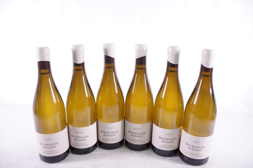 Dupont Fahn Raymond Bourgogne Aligote 2022