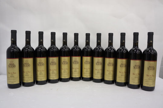 Paolo Scavino Bric del Fiasc Barolo 2005