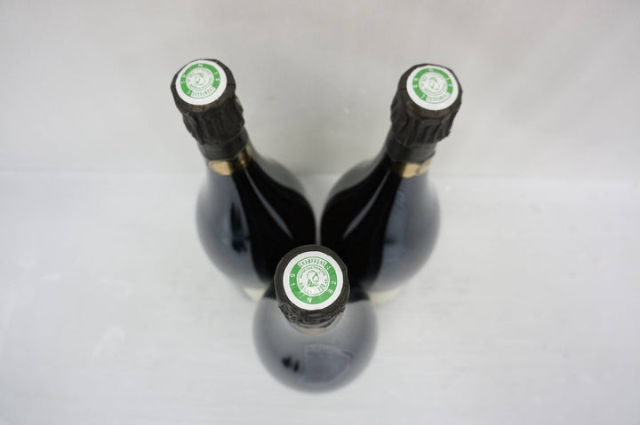 Jacquesson Avize Champ Cain 2004 (Magnum)