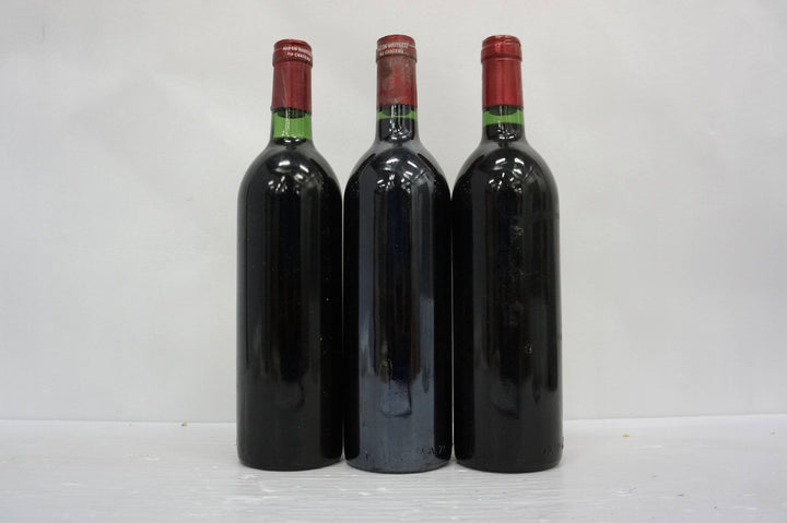 Petrus 1982 *