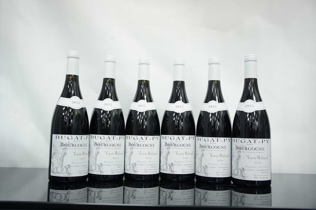 Dugat Py Bourgogne Rouge Cuvee Halinard 2015