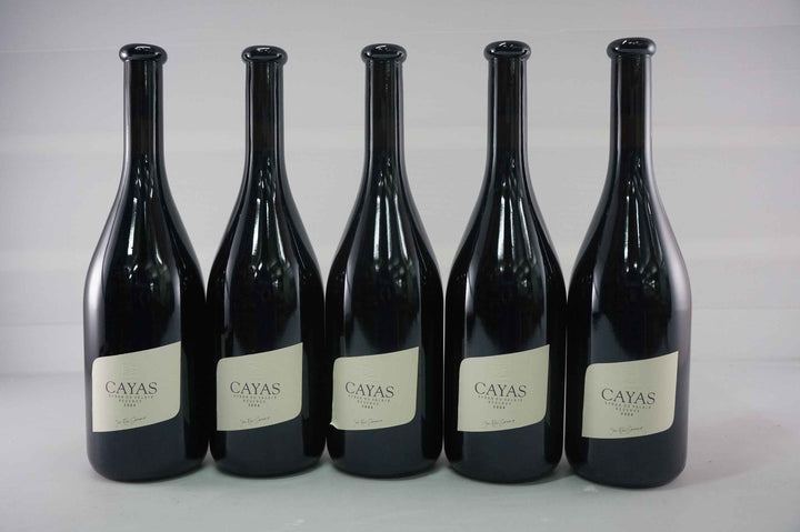 Jean Rene Germanier Syrah du Valais Cayas 2004
