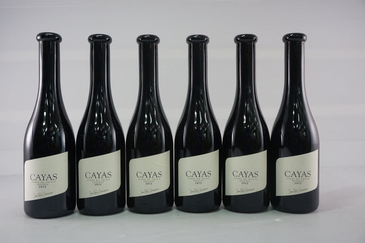 Jean Rene Germanier Syrah du Valais Cayas Half Bottle 2013