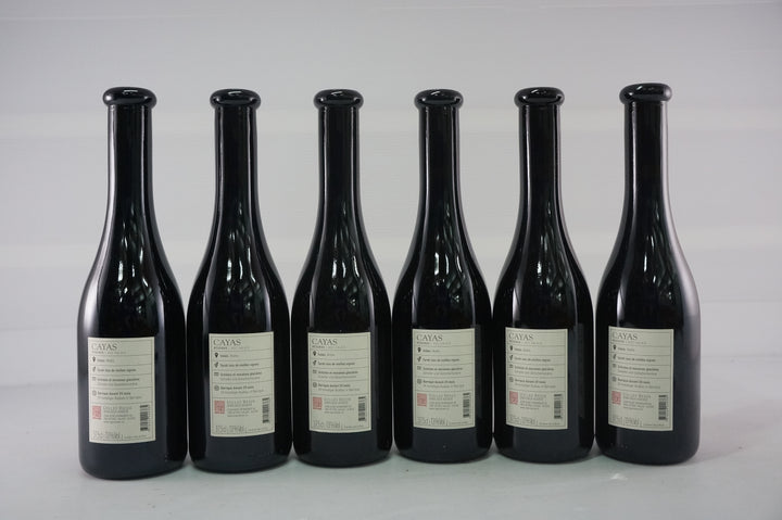 Jean Rene Germanier Syrah du Valais Cayas Half Bottle 2013