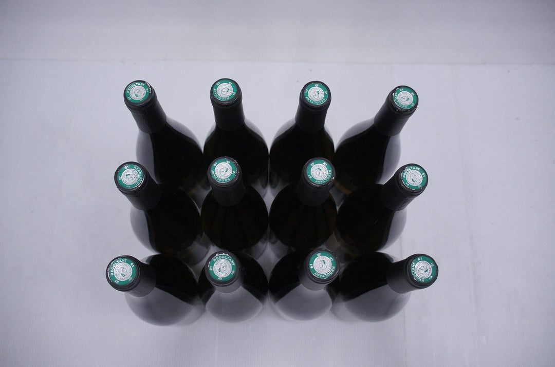 Pierre Boisson Bourgogne Blanc 2011 *