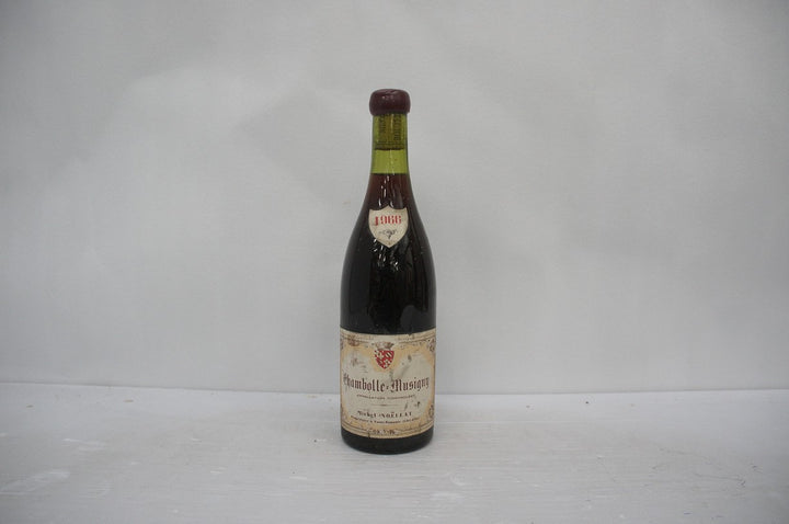 Michel Noellat Chambolle Musigny 1966 (Label Condition) *
