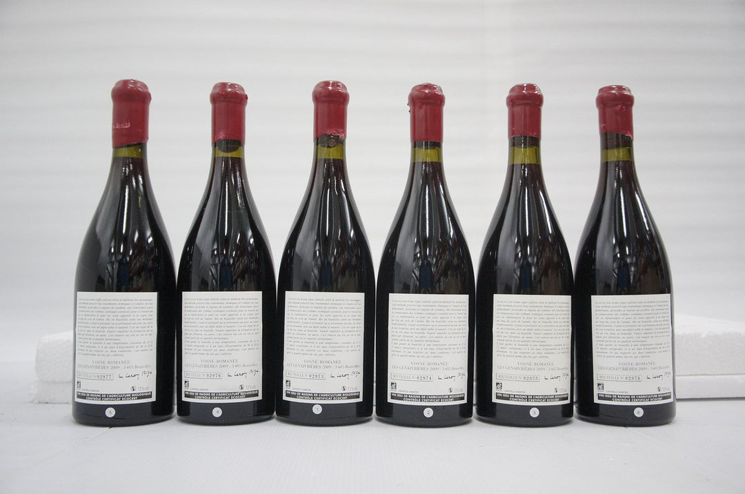 Leroy (Domaine) Vosne Romanee Les Genaivrieres 2009