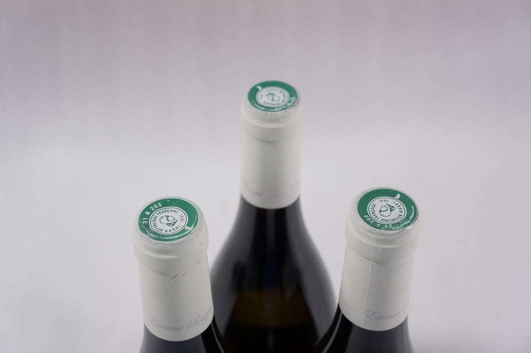 Etienne Sauzet Puligny Montrachet Champ Canet 1er Cru 2012 *