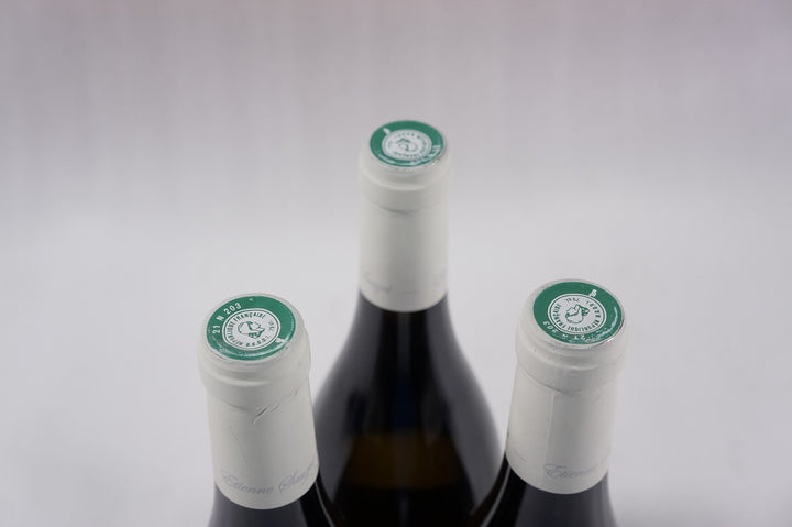 Etienne Sauzet Puligny Montrachet Champ Canet 1er Cru 2012 *