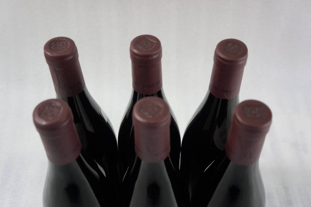 Jean-Michel Gaunoux Pommard Rugiens 1er Cru 2009