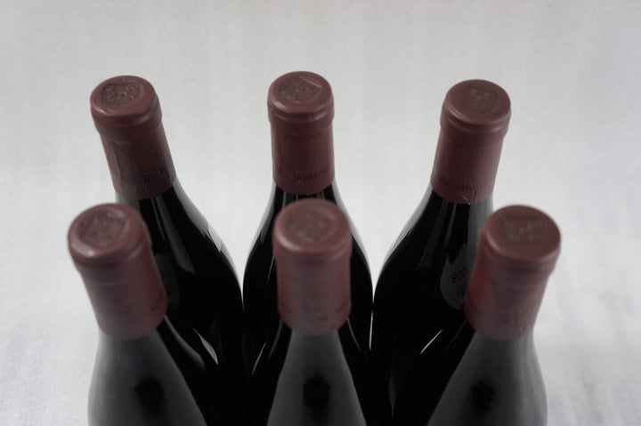 Jean-Michel Gaunoux Pommard Rugiens 1er Cru 2009