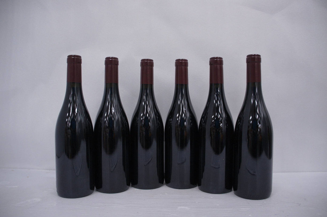 Georges Noellat Nuits St Georges Aux Boudots 1er Cru 2014