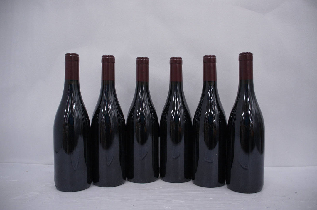 Georges Noellat Nuits St Georges Aux Boudots 1er Cru 2014