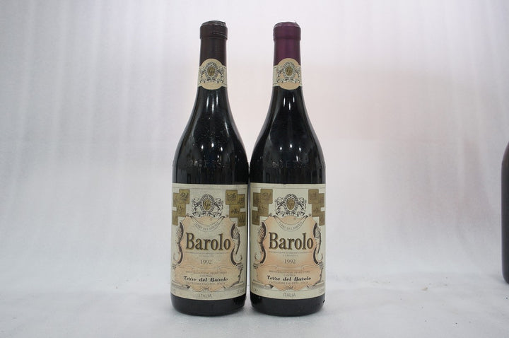 Terre del Barolo Barolo 1992