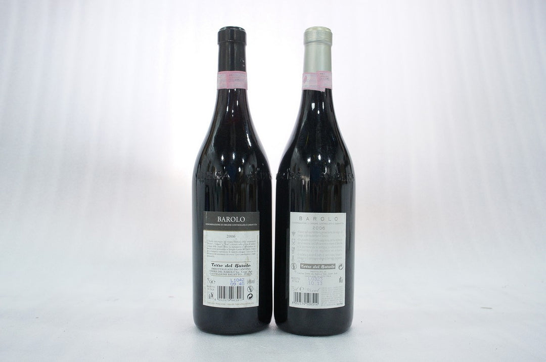 Terre del Barolo Barolo 2006