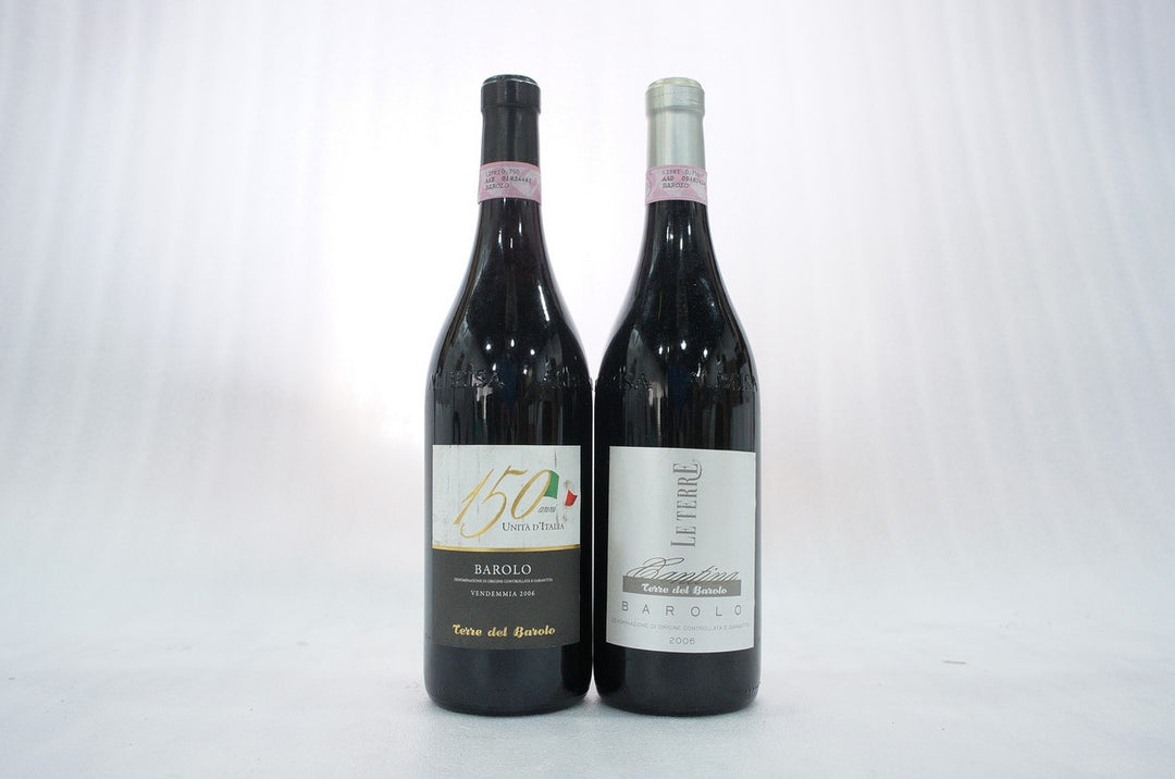 Terre del Barolo Barolo 2006