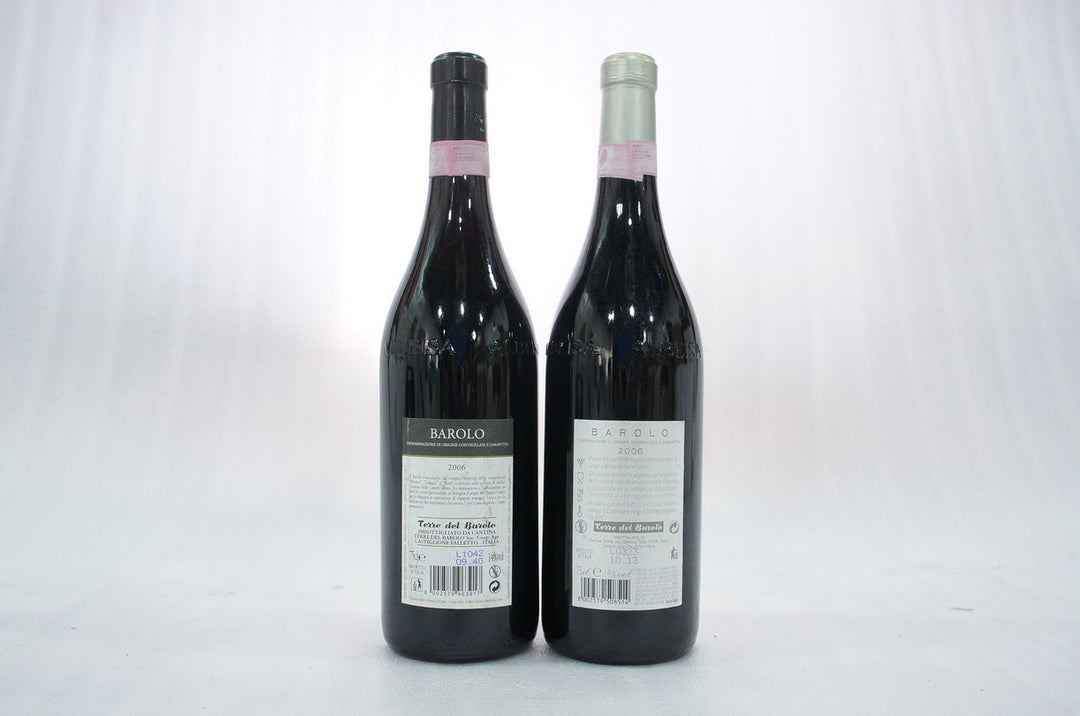 Terre del Barolo Barolo 2006
