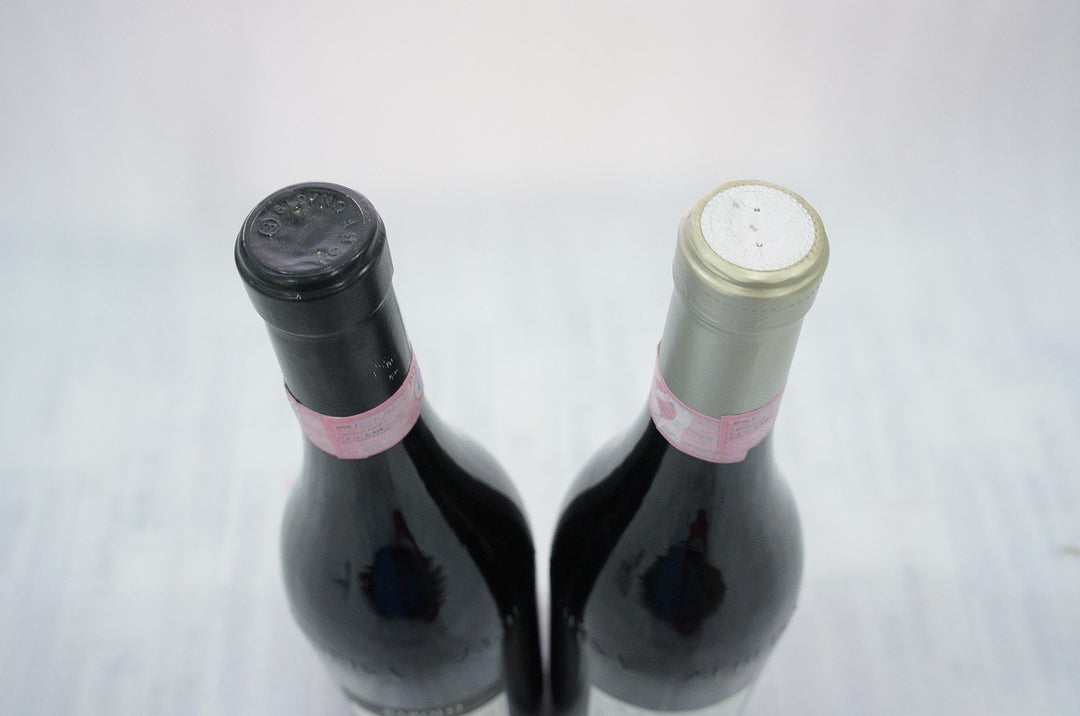 Terre del Barolo Barolo 2006