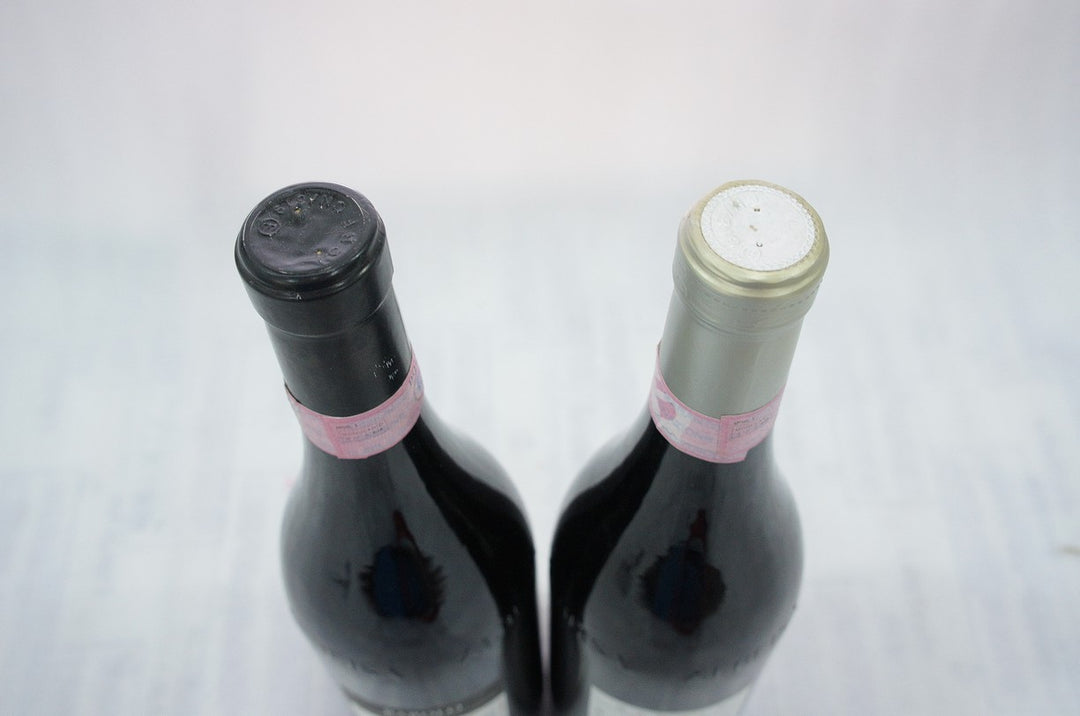 Terre del Barolo Barolo 2006