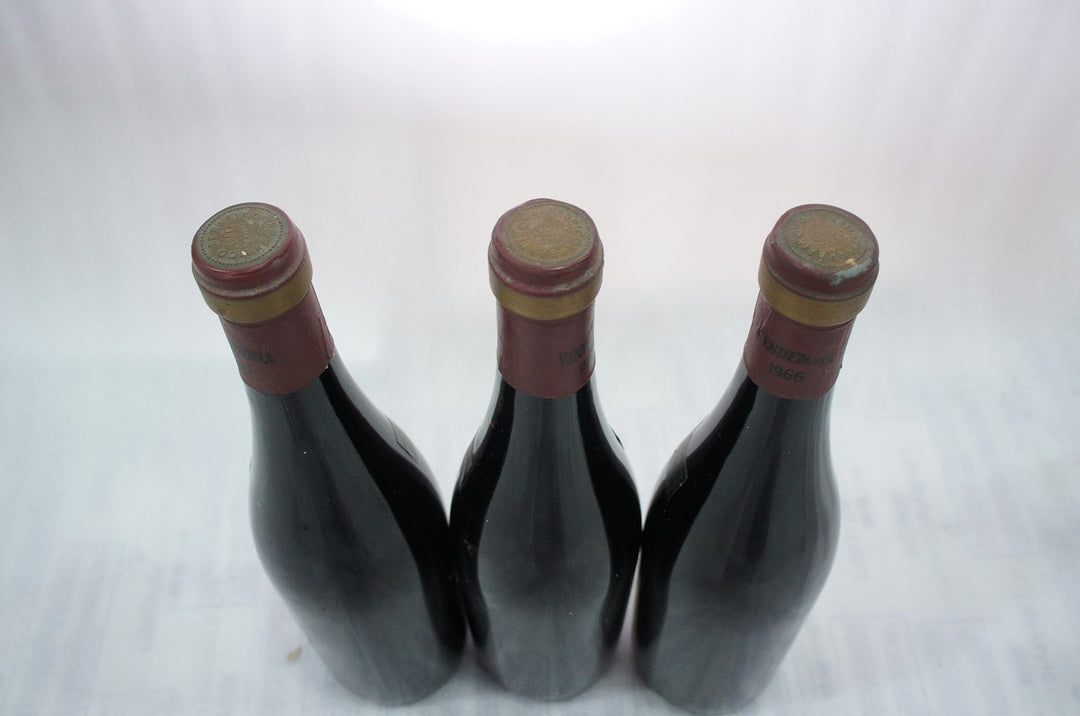 Enrico Serafino Barolo 1966 *