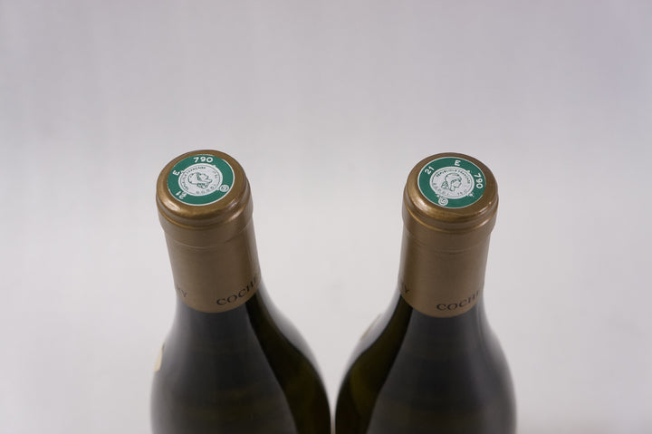 Coche Dury Meursault Rougeots 2013