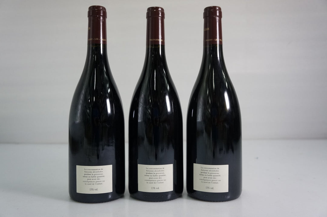 Jayer Gilles Nuits St Georges Les Damodes 1er Cru 2010