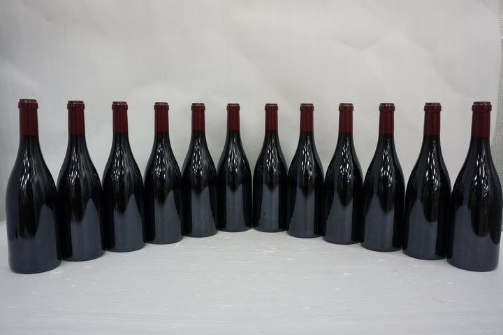 Sylvain Cathiard Nuits St Georges Aux Thorey 1er Cru 2009