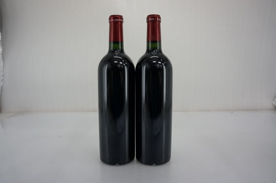 Petrus 2005
