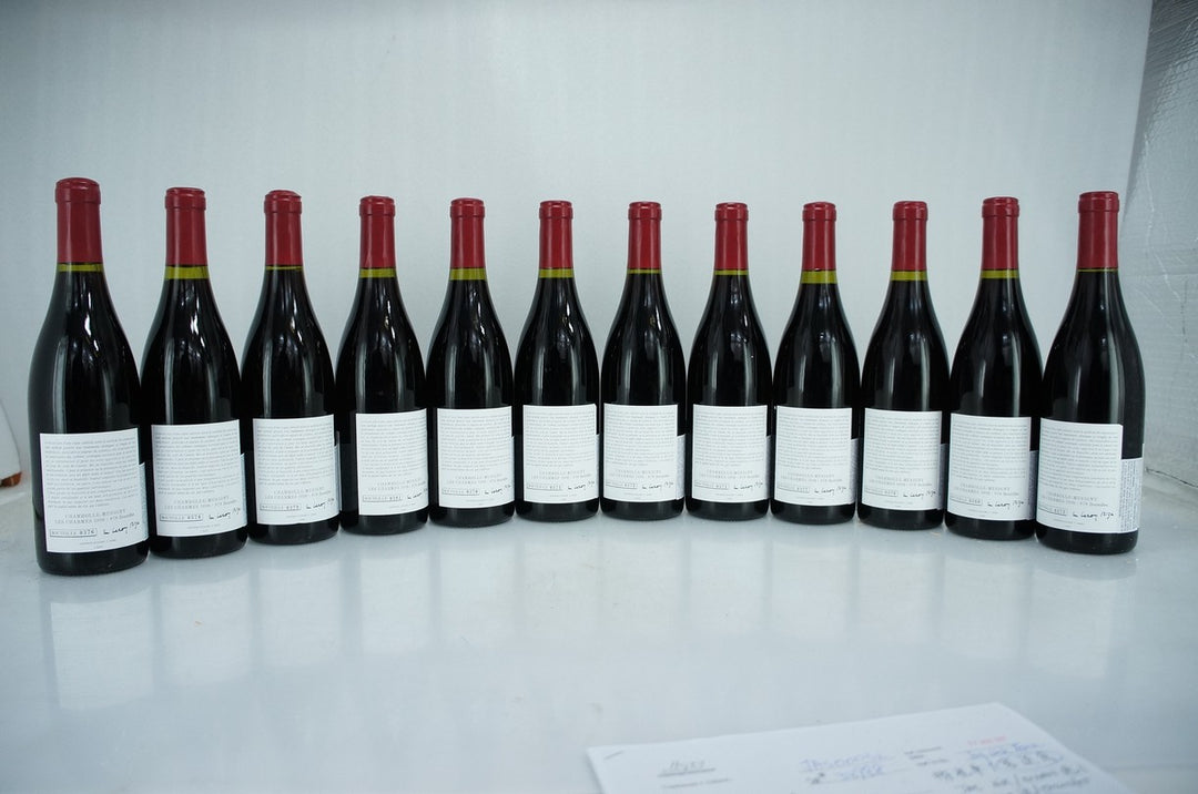 Leroy (Domaine) Chambolle Musigny Les Charmes 1er Cru 1996
