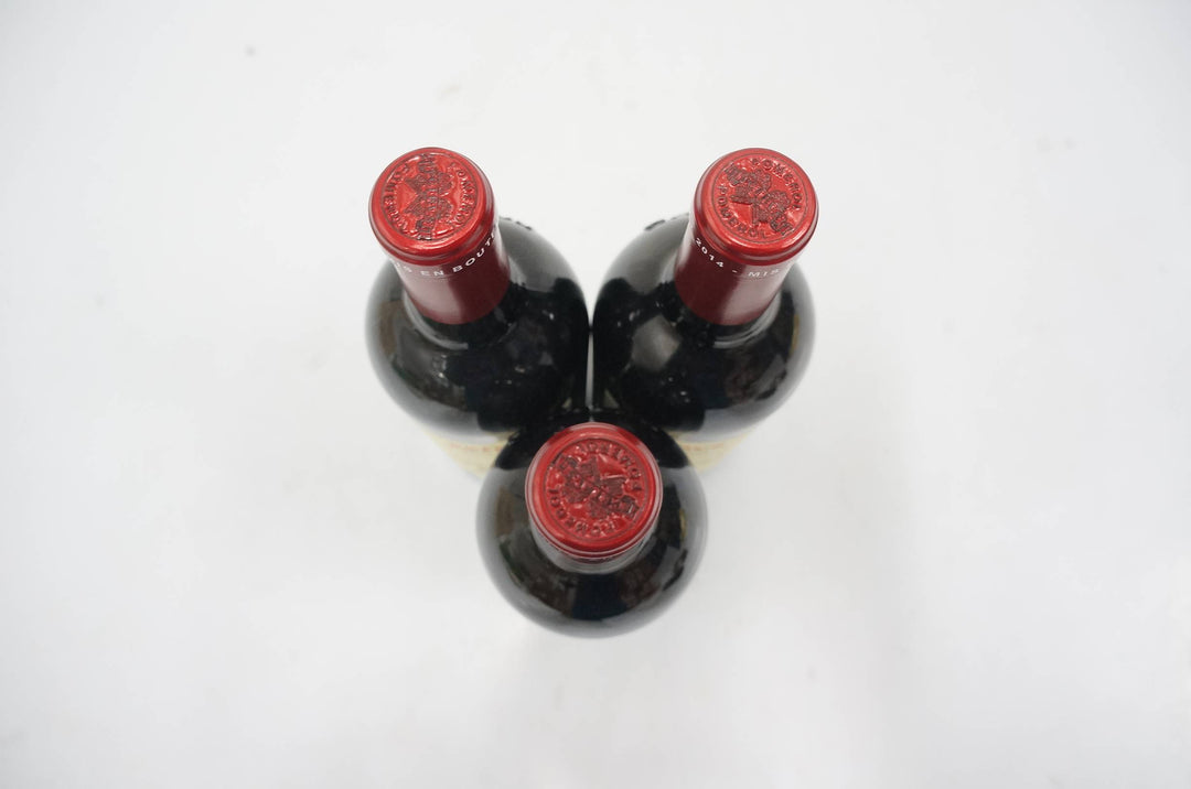 Petrus (OWC) 2014