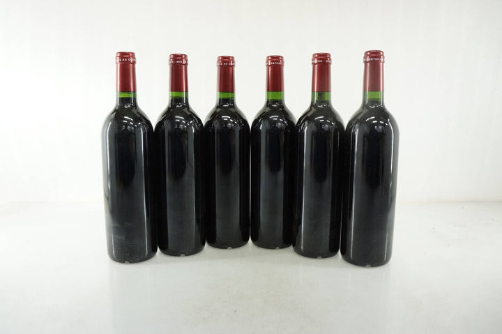 Petrus 2000