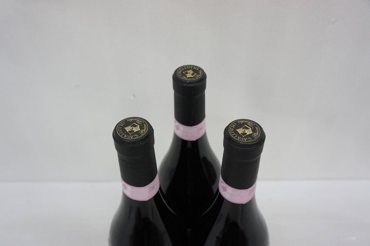 Cavallotto Bricco Boschis Vigna San Giuseppe Barolo Riserva  2001