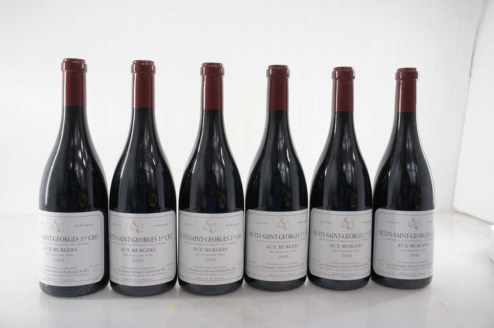 Sylvain Cathiard Nuits Saint Georges Aux Murgers 1er Cru 2009