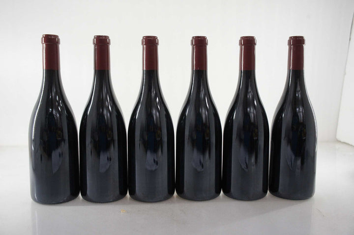 Sylvain Cathiard Nuits Saint Georges Aux Murgers 1er Cru 2009