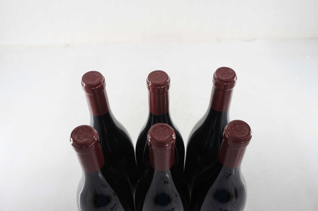 Sylvain Cathiard Nuits Saint Georges Aux Murgers 1er Cru 2009